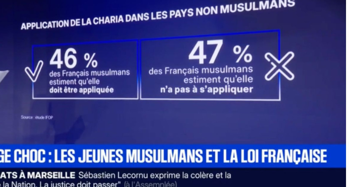 Un sondaggio, molti interessi: come l’islamofobia italiana ricicla la propaganda sio-emiratina contro i musulmani europei